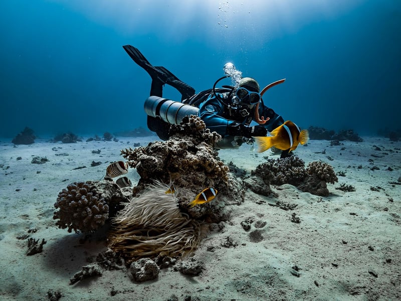 Underwater Adventures